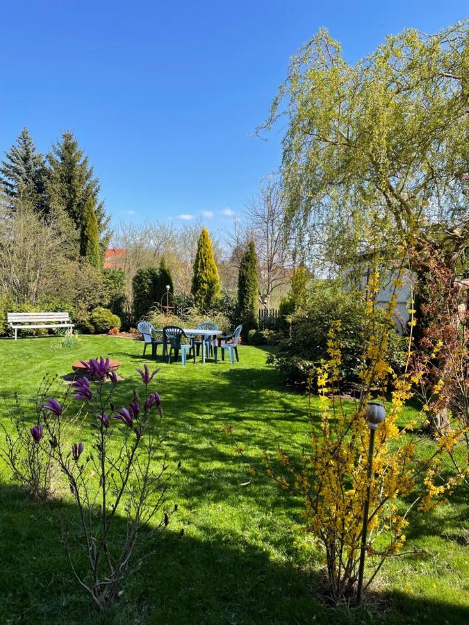 Gemuetliches Appartement - 20 Min Bis Dresden Leppersdorf Zewnętrze zdjęcie
